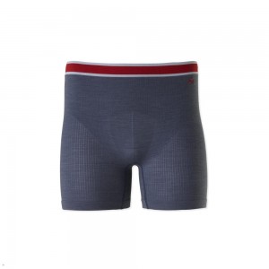 Tracksmith Brighton Boxer Briefs Unterwäsche Herren Blau | 364JDCNRB