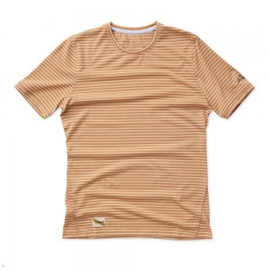 Tracksmith Horizon T-Shirt Herren Braun | 362EJMRGC