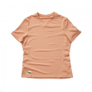 Tracksmith Session T-Shirt Damen Orange | 478OGSCTB