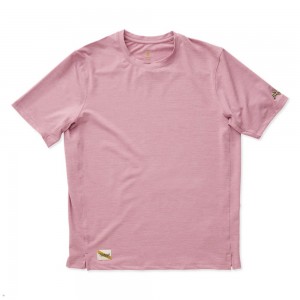 Tracksmith Session T-Shirt Herren Rosa | 185SYLIWD