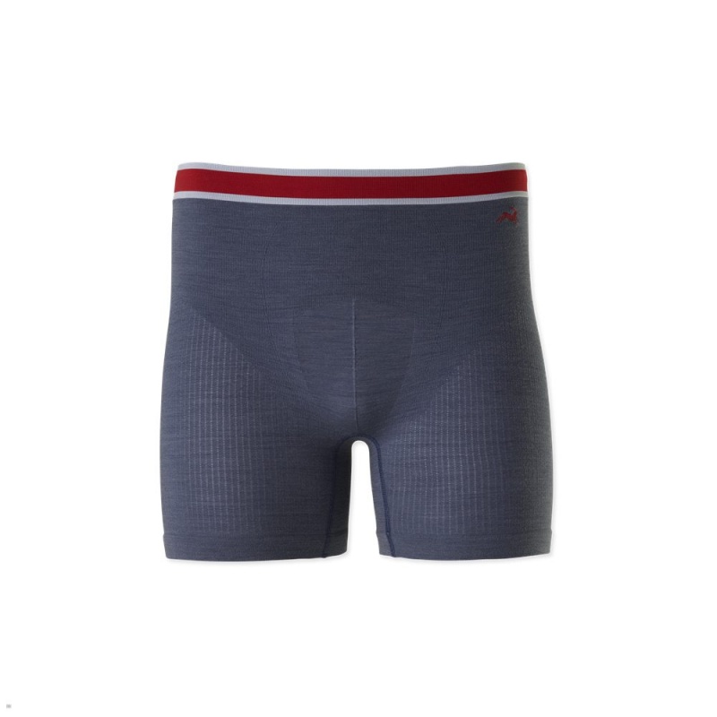 Tracksmith Brighton Boxer Briefs Unterwäsche Herren Blau | 364JDCNRB