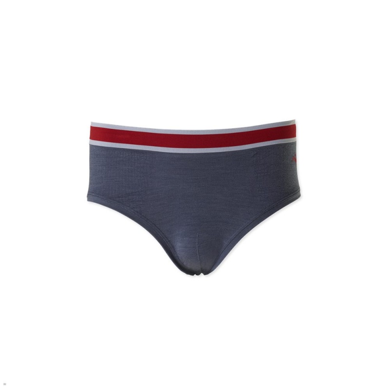 Tracksmith Brighton Briefs Unterwäsche Herren Blau | 691OHUSEQ