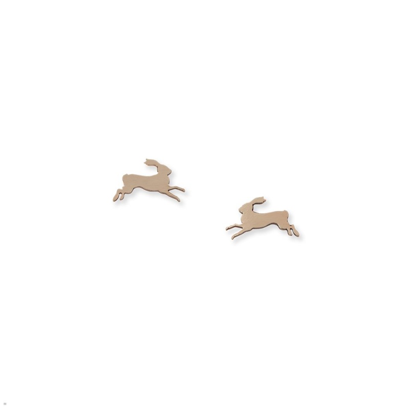 Tracksmith Eliot Earrings Schmuck Gold | 362PNSXUO