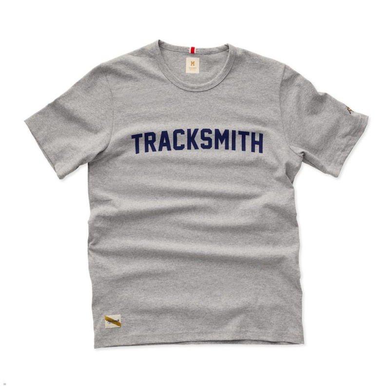 Tracksmith Grayboy T-Shirt Damen Grau | 289EFGMHL