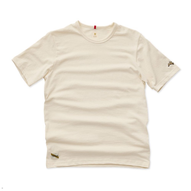 Tracksmith Grayboy T-Shirt Damen Weiß | 140BUTIAF