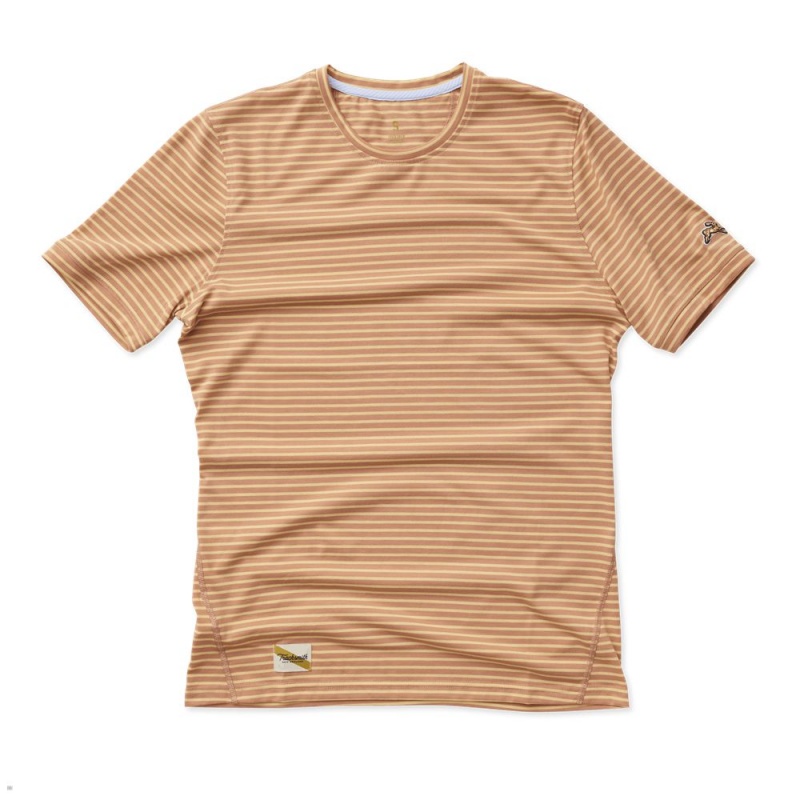 Tracksmith Horizon T-Shirt Herren Braun | 362EJMRGC