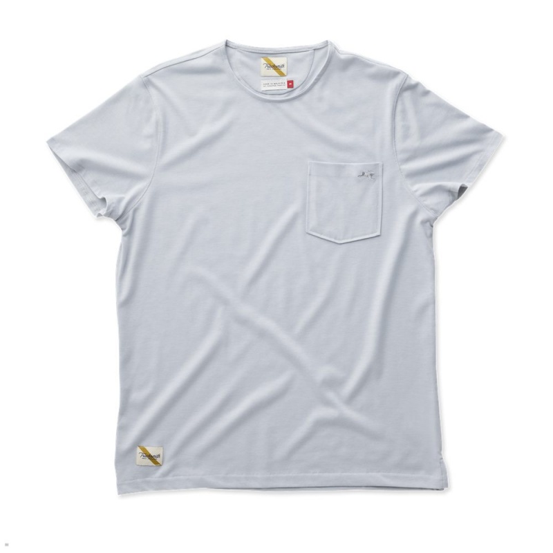 Tracksmith Run Cannonball Run T-Shirt Damen Blau | 436CFOMXT