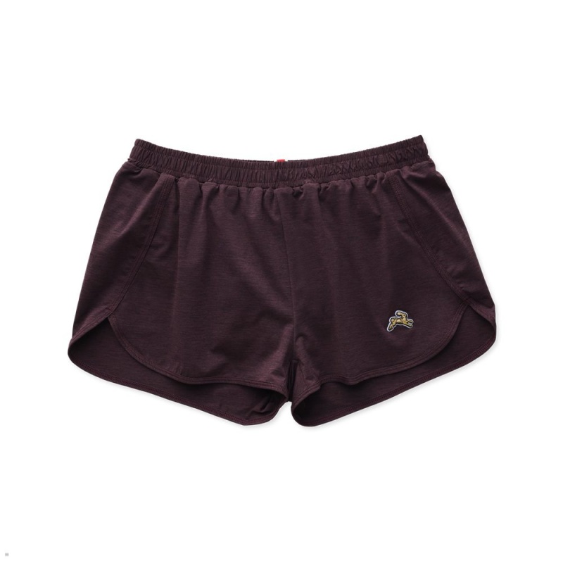 Tracksmith Session Kurze Hose Damen Bordeaux | 520EVOWMK