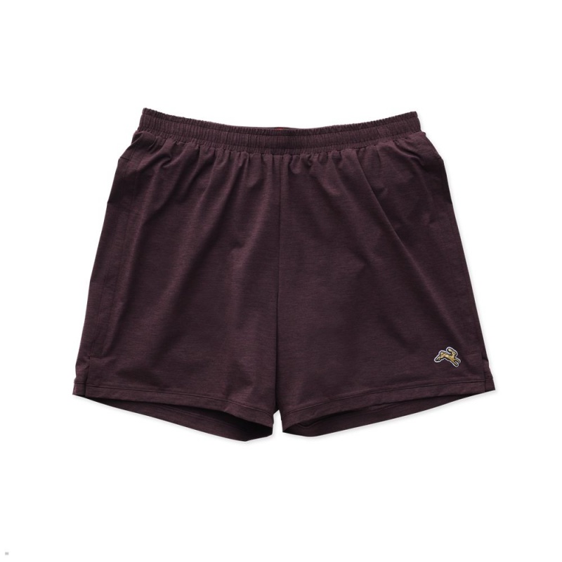 Tracksmith Session Kurze Hose Herren Bordeaux | 142MSGZXI