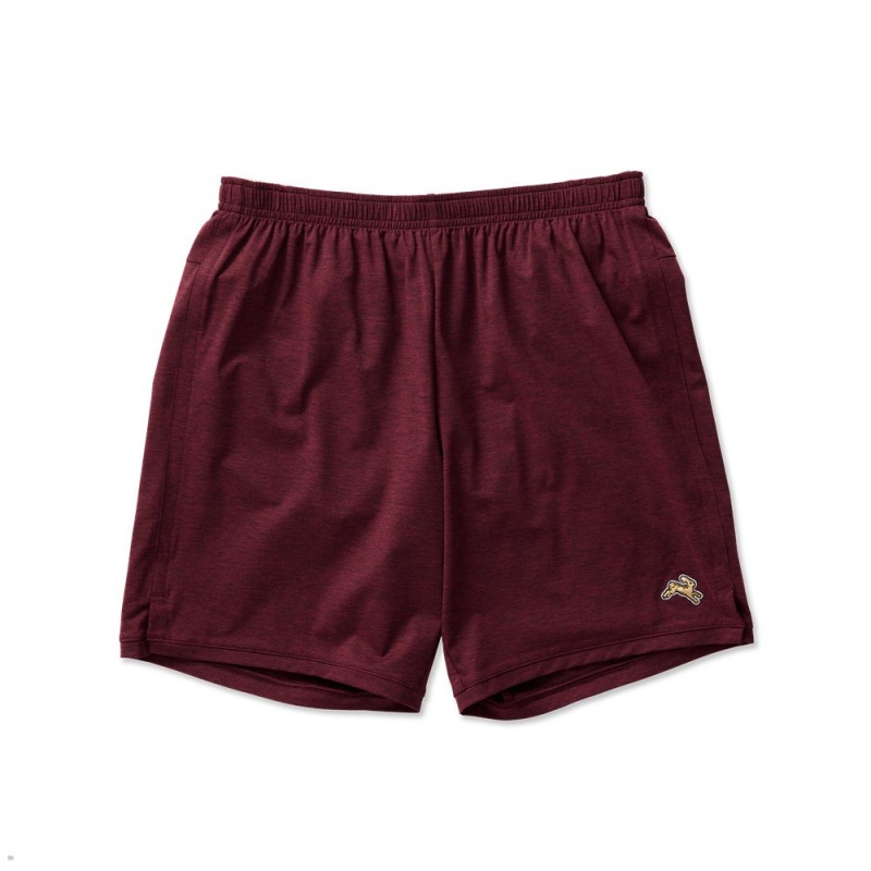 Tracksmith Session Kurze Hose Herren Bordeaux | 523OCNZPR