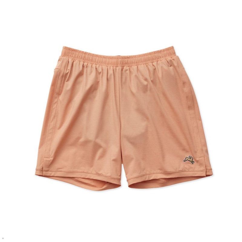 Tracksmith Session Kurze Hose Herren Orange | 584KCQABV