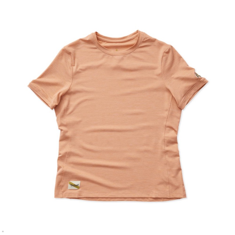 Tracksmith Session T-Shirt Damen Orange | 478OGSCTB