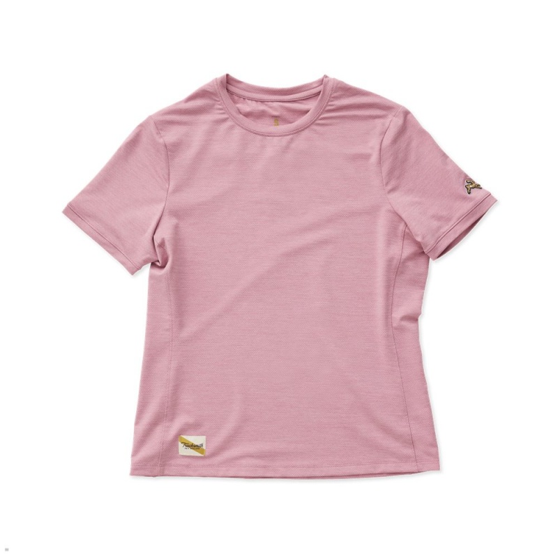 Tracksmith Session T-Shirt Damen Rosa | 367AFKGXE