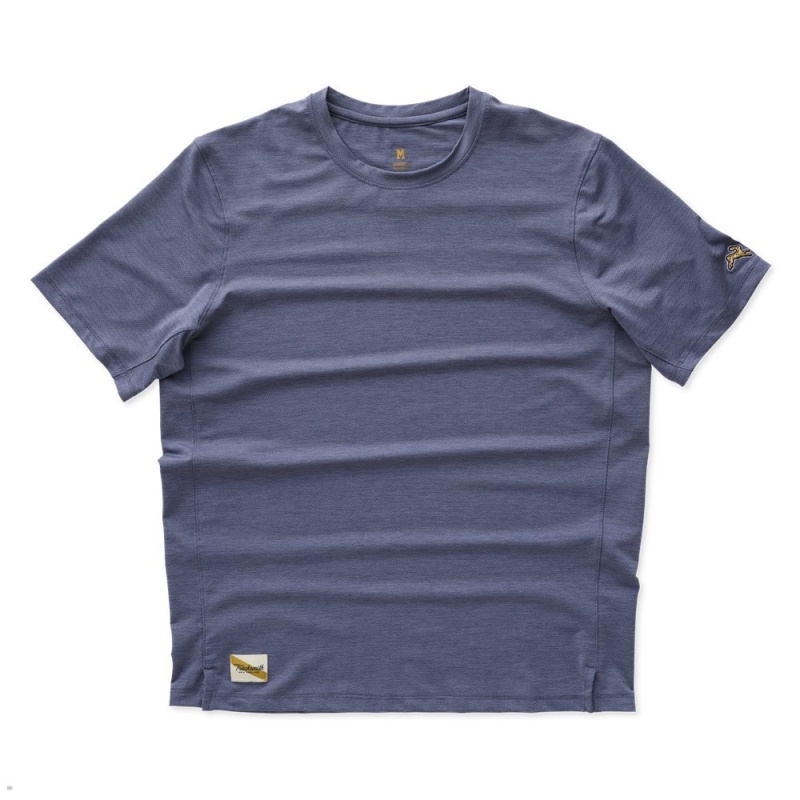 Tracksmith Session T-Shirt Herren Blau | 742KMGAIR