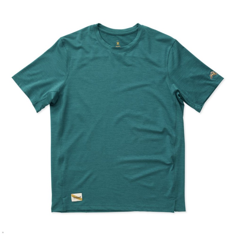 Tracksmith Session T-Shirt Herren Grün | 760BKAGFU