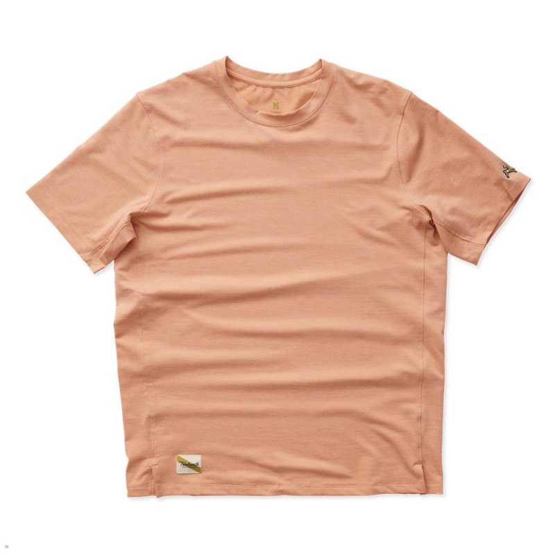 Tracksmith Session T-Shirt Herren Orange | 785TCMIJZ