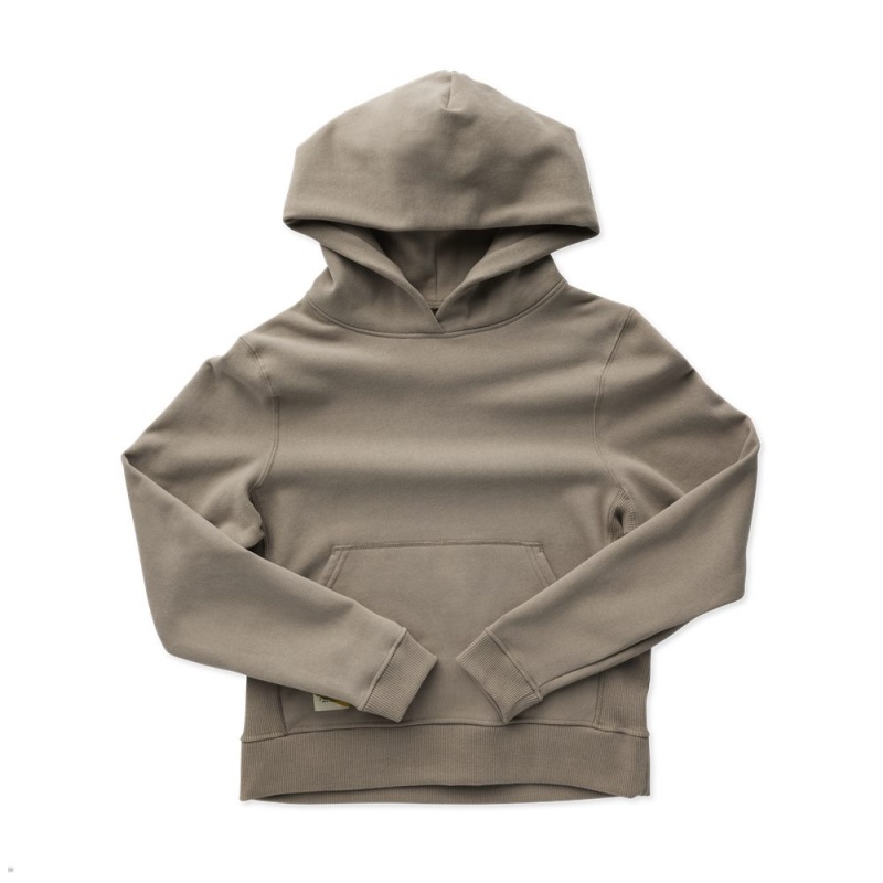 Tracksmith Trackhouse Sweatshirt Damen Khaki | 513XVDOMB