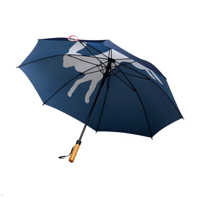 Tracksmith Umbrella Sonstiges Zubehör Blau | 865LBZQPX