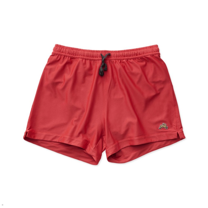 Tracksmith Van Cortlandt Grand Kurze Hose Herren Rot | 197ZBRWAQ